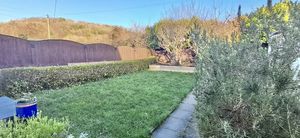 Photo 26- click for photo gallery